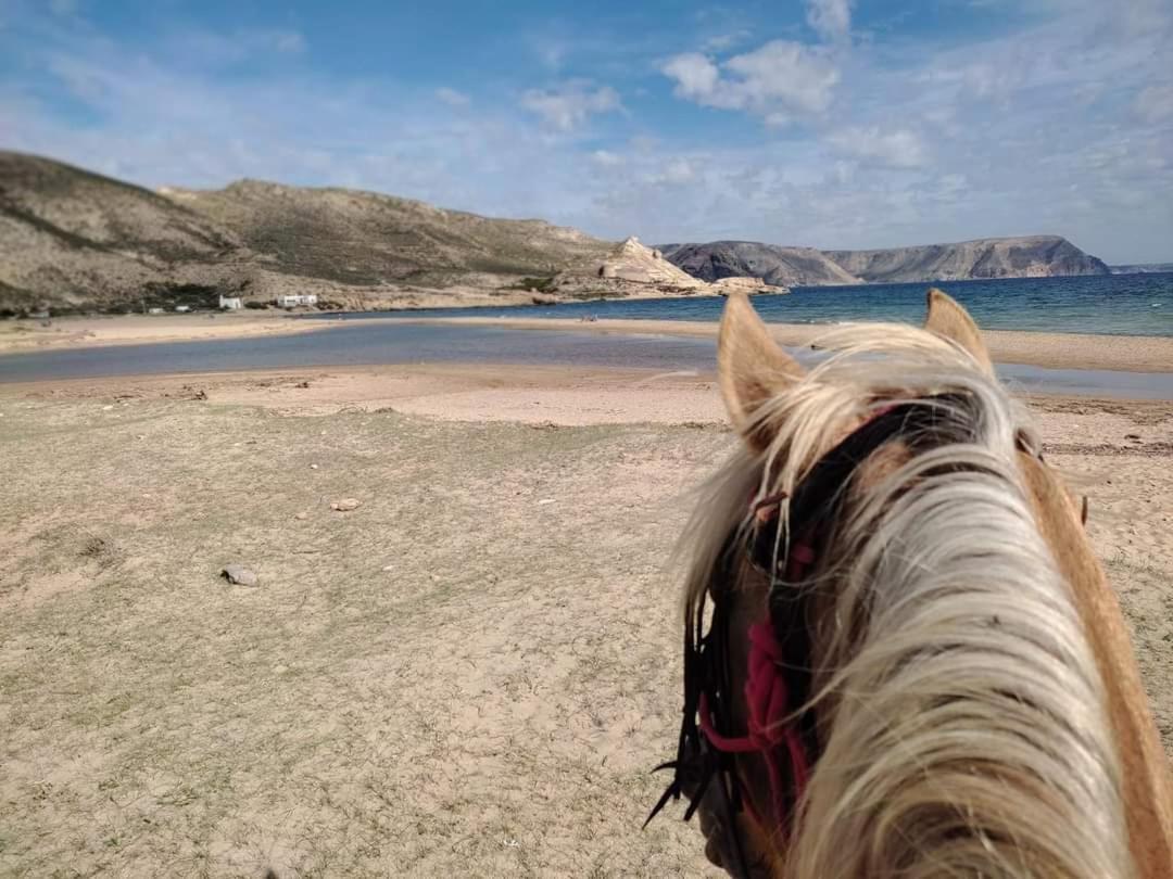 Caballo De Mar Frison Cabo De Gata San José Exteriör bild